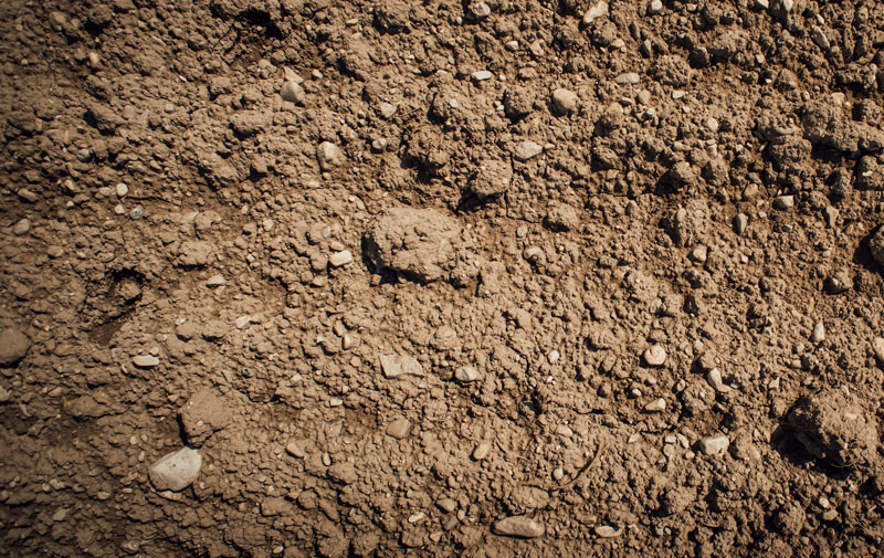 Common fill material