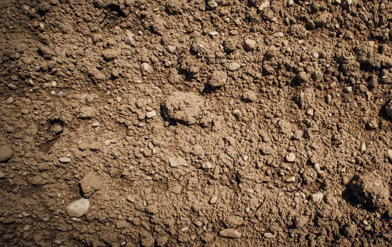 Common fill material